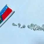 Şəhid övladları Vaşinqtonda keçirilən “Zəfər” Yay Düşərgəsində iştirak ediblər