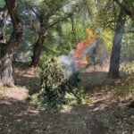 Qubada hamilə iynədən şoka düşüb, əməliyyatdan sonra ölüb 