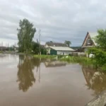 Ukrayna Ali Radası Sergey Koretskini ölkənin Baş naziri təyin edib