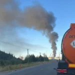 Bakı, Sumqayıt və Abşeronda yaşıllıqlara 72 min manata yaxın ziyan vurulub