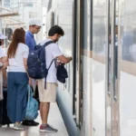Bakı və Zəngilanda yaşıllıqlar qanunsuz kəsilib, təbiətə 83 840 manatlıq ziyan dəyib