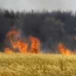 Rusiyanın Kiyevə PUA-larla hücumu nəticəsində 3 nəfər ölüb, 3 nəfər yaralanıb