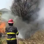 Naxçıvanda külli miqdarda saxta aksiz markalı mallar aşkarlanıb