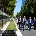 İsmayıllıda 10 tondan artıq çətənə kolu məhv edilib