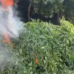 Ukrayna Sızranda neft emalı zavoduna zərbə endirib