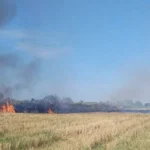 Azərbaycanda şənbə günü 39 dərəcə isti olacaq