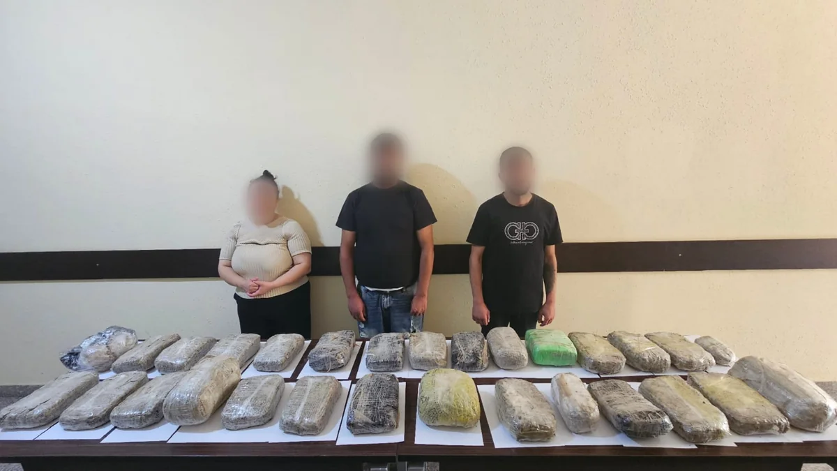 Azərbaycan, DSX, narkotik