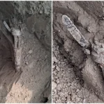 Sabirabadda 8 kiloqram narkotik vasitə aşkarlanıb