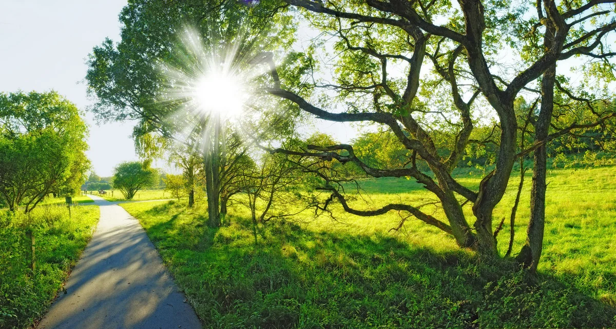 Cəmiyyət