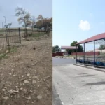 Bakıda daha iki küçədə avtobus zolağı təşkil edilir