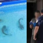 Sabah Sabunçuda iki yolda nəqliyyatın hərəkəti qismən məhdudlaşdırılacaq